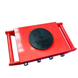 Ảnh minh họa bài viết về rùa chuyển hàng